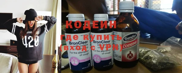 СК Елизово