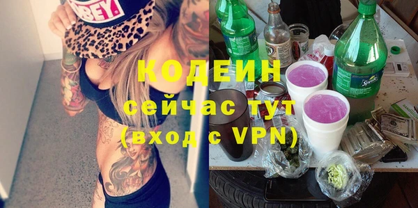 твердый Заводоуковск