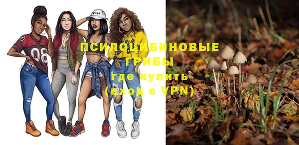 МДМА Заволжск