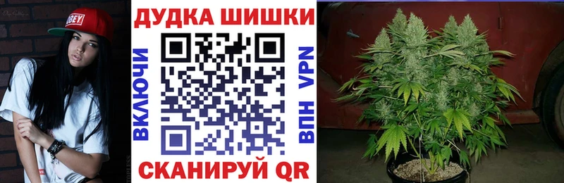 Купить где  Облучье  МАРИХУАНА OG Kush 